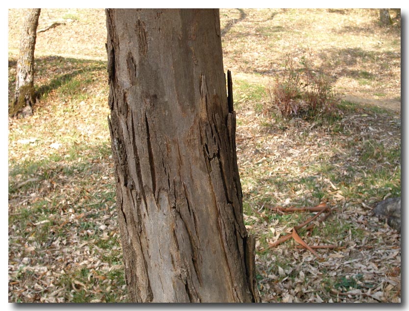 Dobbiamo stare vicini vicini (ovvero: inverno in compagnia)